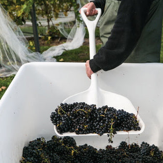 Choosing the Best Food-Grade Shovel For Your Food & Beverage Facility