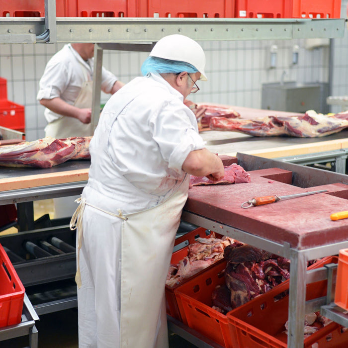 Mitigating Foreign Body Contamination Recalls in Food Manufacturing