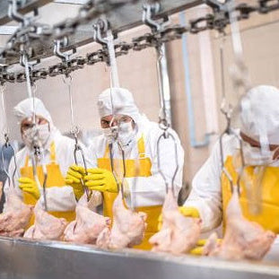 Deep Cleaning Food & Beverage Facilities After a COVID-19 Shutdown