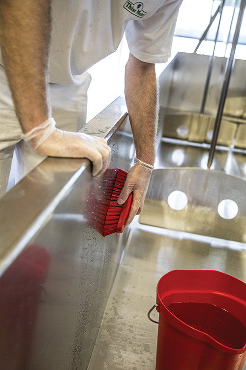 Hand Brush Multi-Purpose Angled Stiff Bristles Scrub