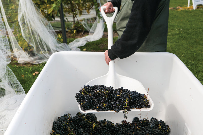 Remco Large One-Piece Shovel with 14" Blade