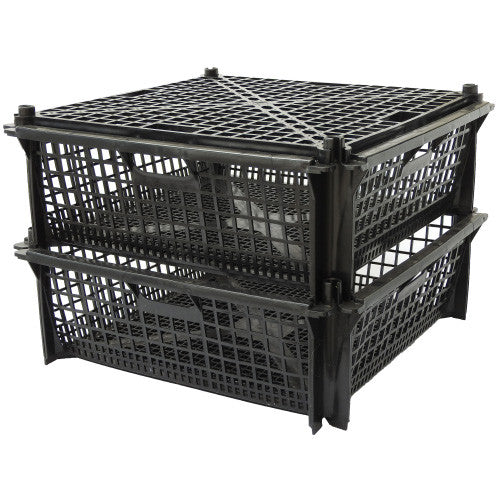 Large Shellfish & Oyster Container with Lid (1 Pallet = Qty 44)