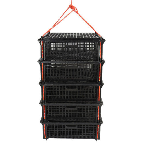 Large Shellfish & Oyster Container with Lid (1 Pallet = Qty 44)