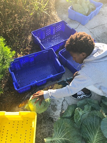 Customer Spotlight: St. Lucie Public Schools’ Farm to School Program