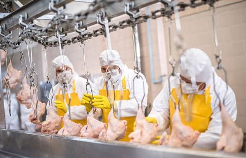 Deep Cleaning Food & Beverage Facilities After a COVID-19 Shutdown