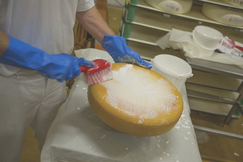 Short Handled Soft/Split Washing Brush