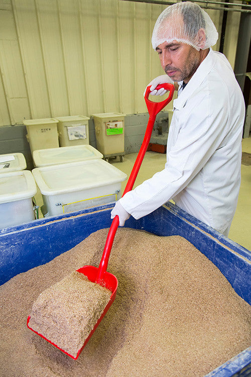 Reinforced Ergo Shovel with Small Blade