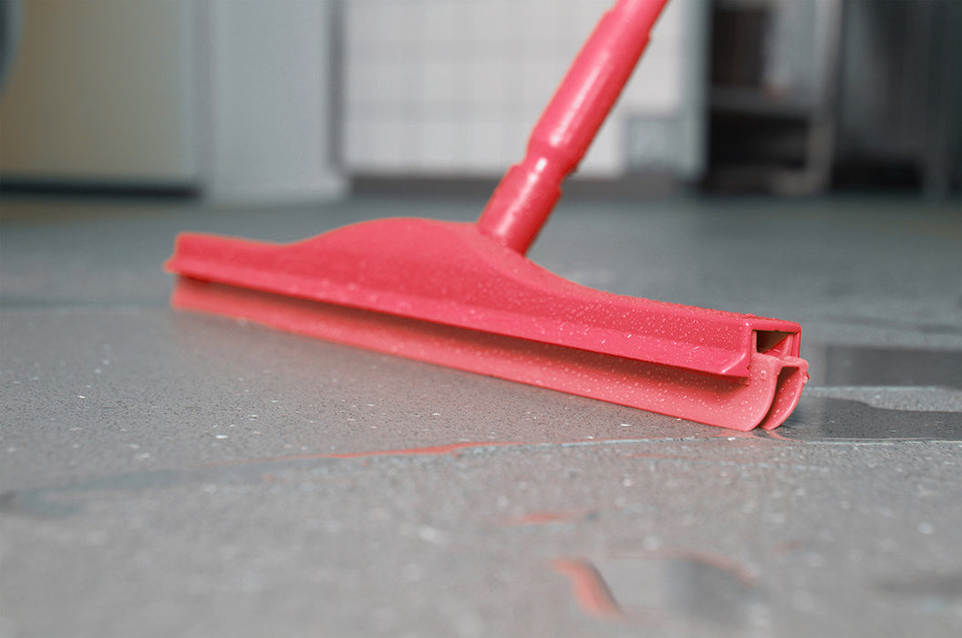 20" Double Blade Squeegee with 60" Alum Handle
