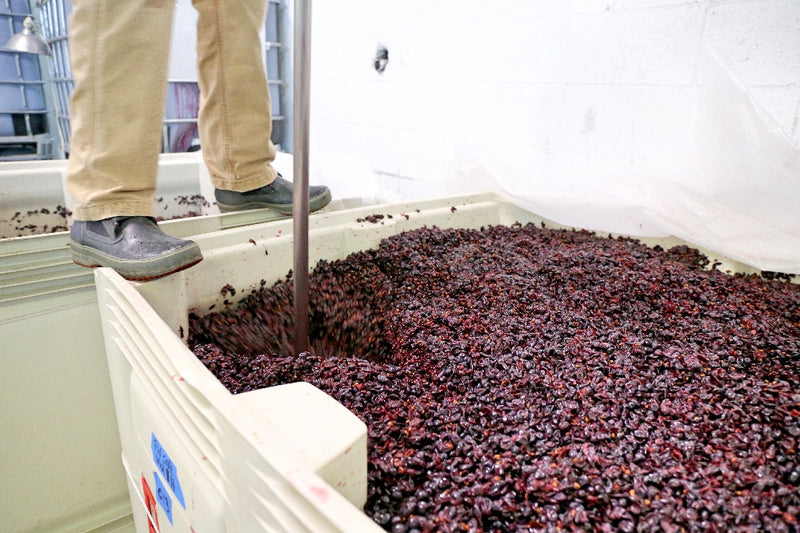 60" Stainless Steel Wine Cap Punch Down Tool With T Grip