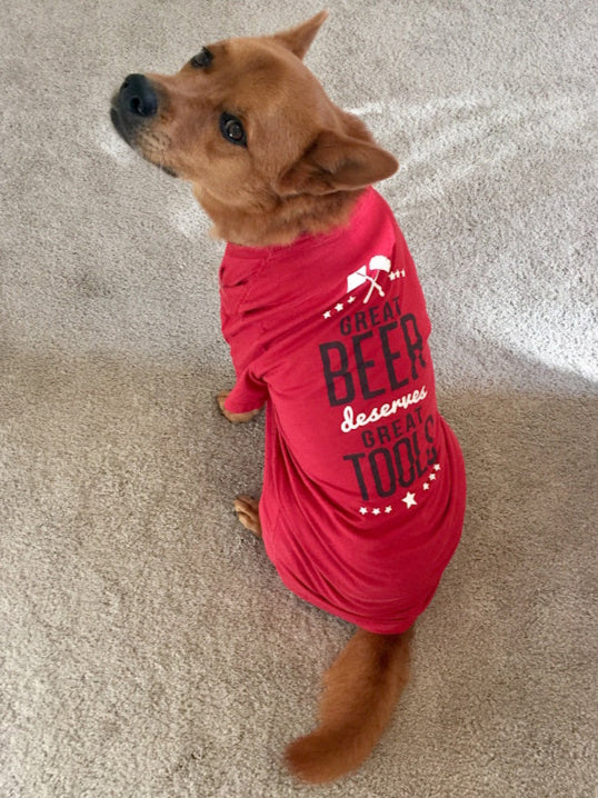 Your Trusted Partner